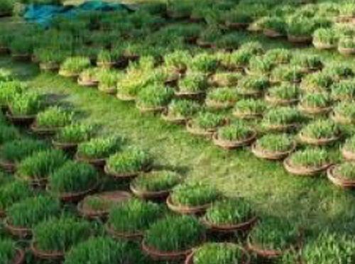 Climate Action & Nature Care 13
