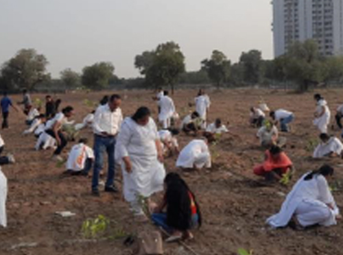 Climate Action & Nature Care 2