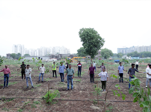 Climate Action & Nature Care 3