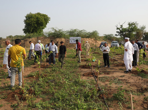 Climate Action & Nature Care 5