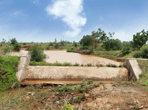 Climate Action & Nature Care 9