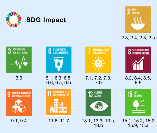 SDG Vision