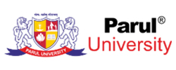 Partner 7